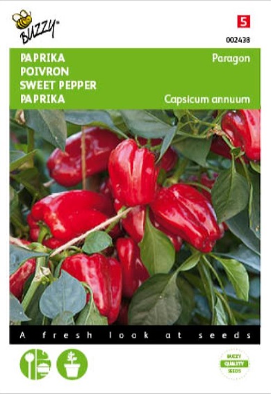 Mini Sweet Bell Pepper Paragon F1 (Capsicum) 6 seeds